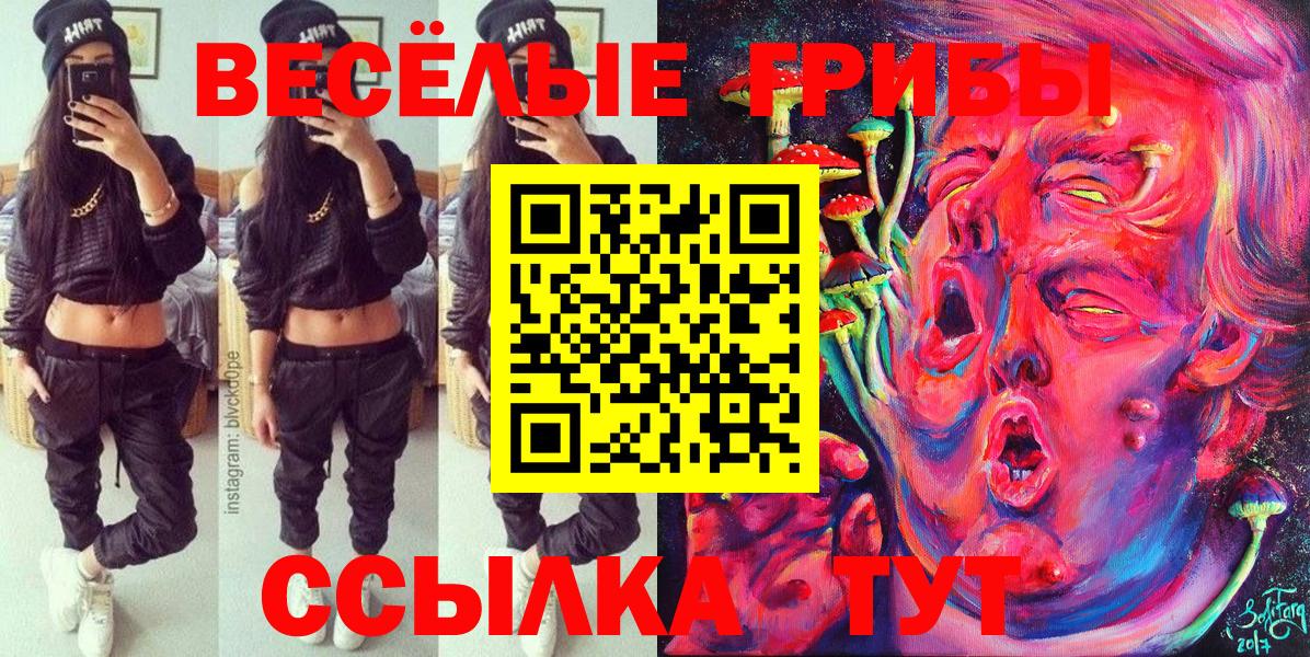 Галлюциногенные грибы Psilocybe  Вход с VPN  Домодедово  Галлюциногенные грибы Psilocybe 